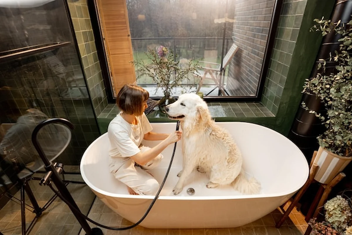 Kobieta myje psa w wannie w domu