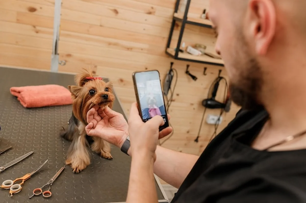 Męski groomer z psem klientem po pielęgnacji w salonie zwierząt