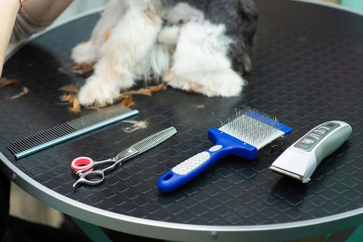 Narzędzia do pielęgnacji zwierząt w salonie pielęgnacyjnym