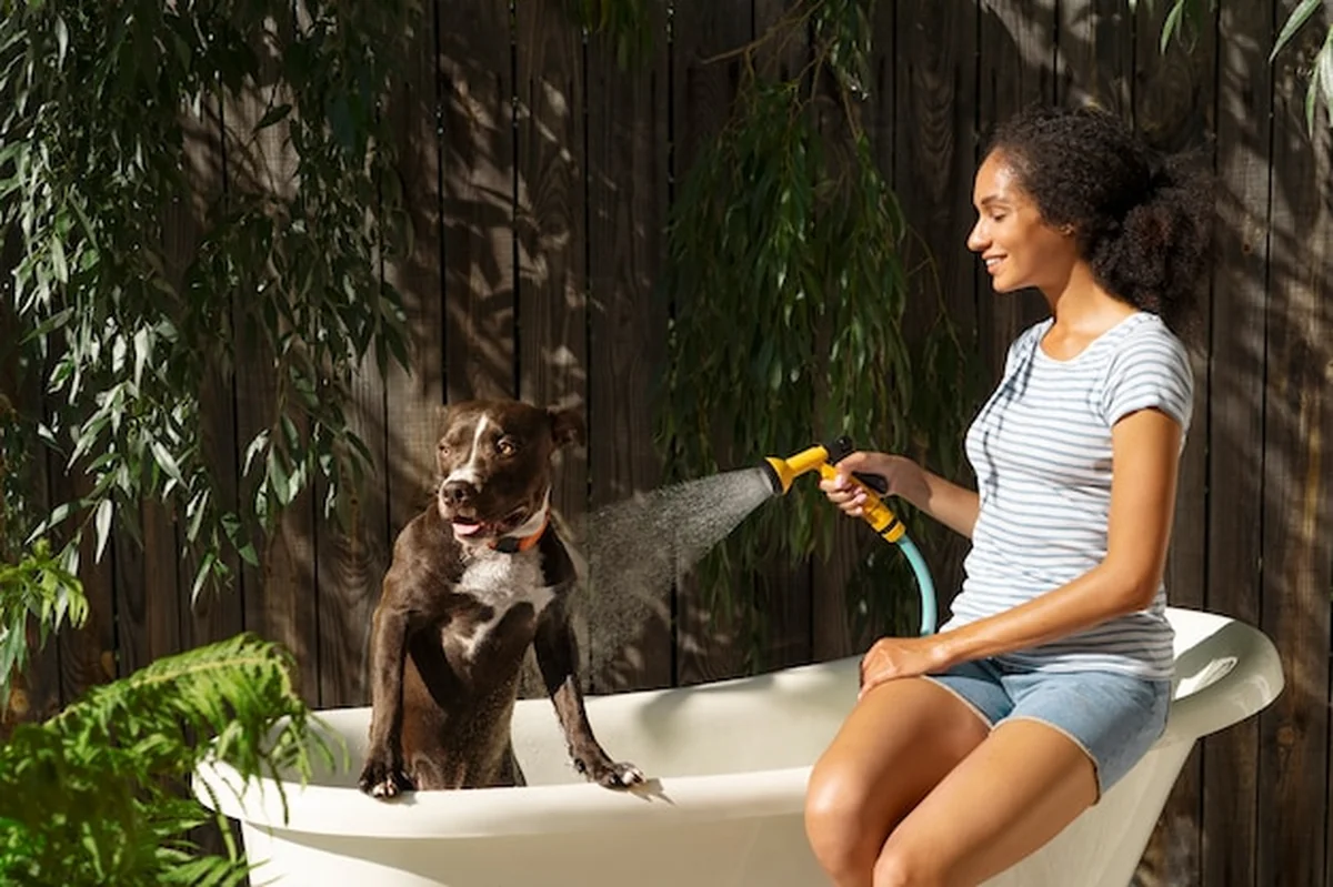 Kobieta myjąca psa obok węża