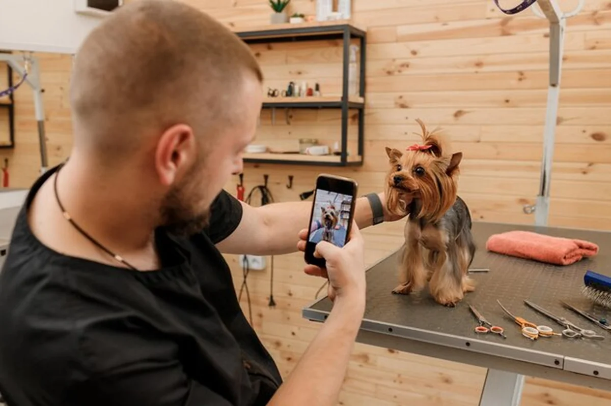 Męski groomer robi zdjęcie z psem klientem po pielęgnacji w salonie dla zwierząt