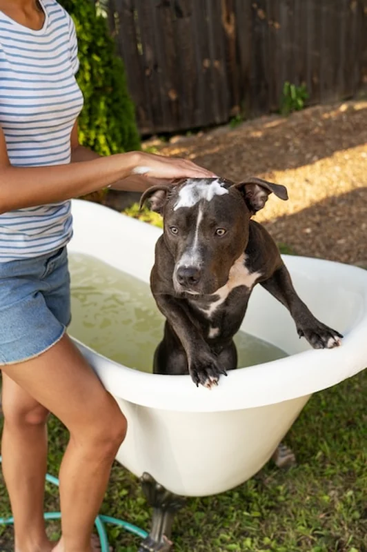 Kobieta myjąca psa z boku