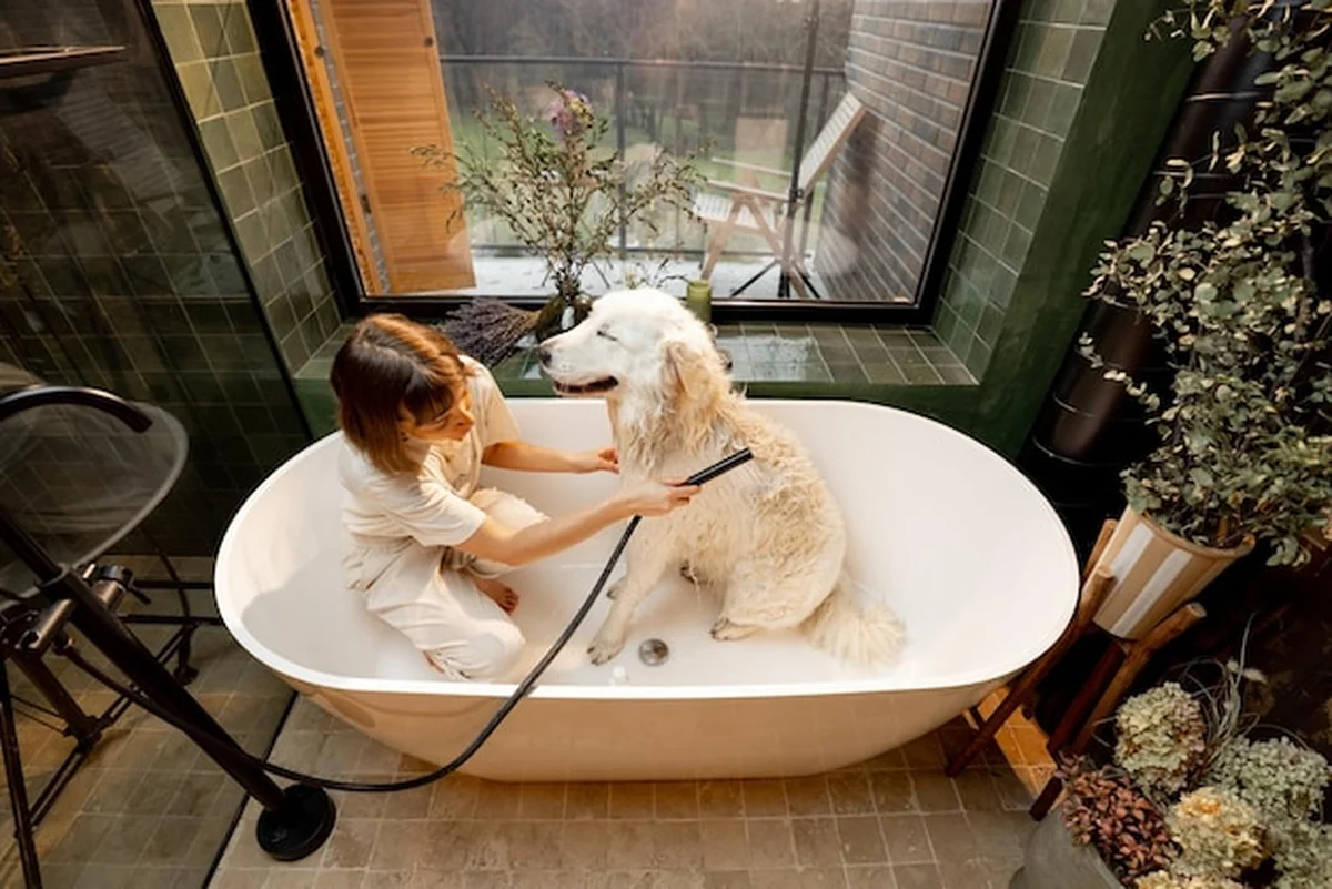 Kobieta myje psa w wannie