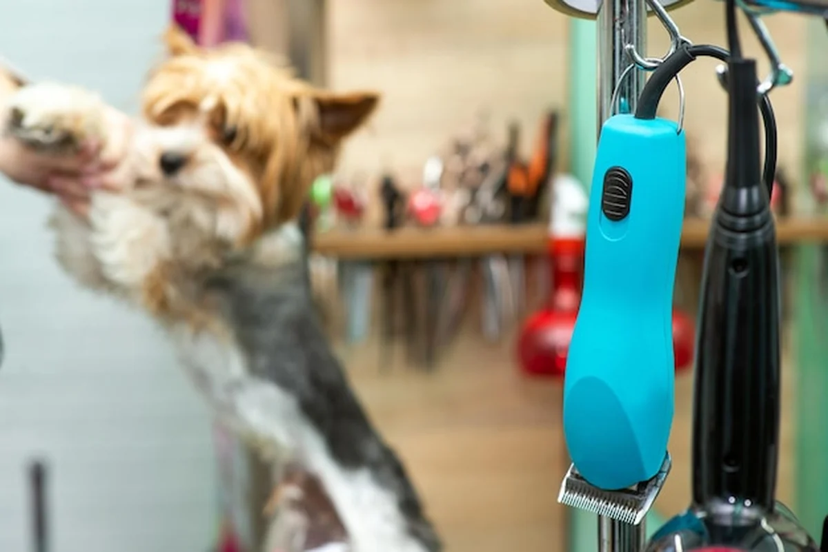 Maszynka do strzyżenia sierści zwierząt w salonie fryzjerskim