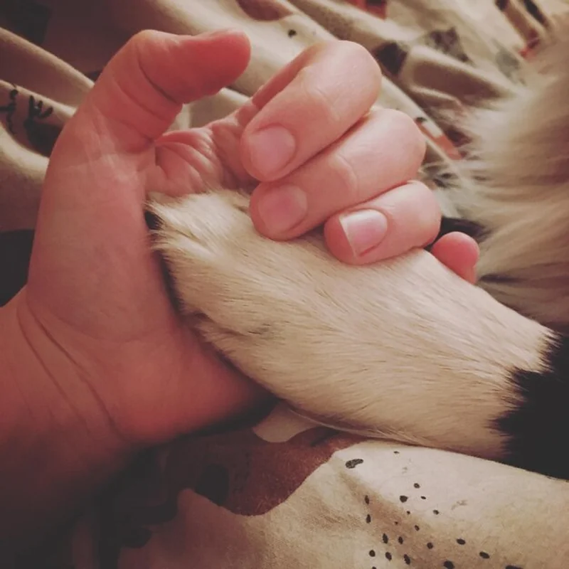 Zbliżenie ręki trzymającej się za ręce