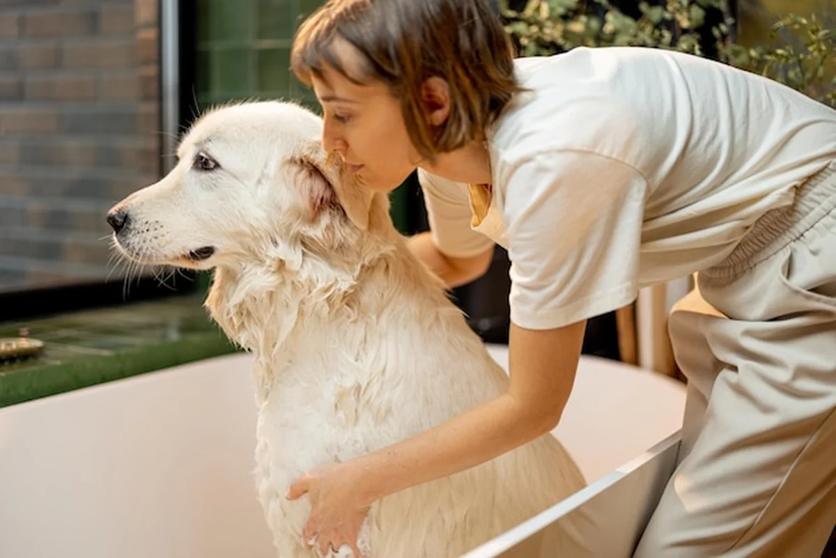Kobieta myjąca psa w wannie w domu