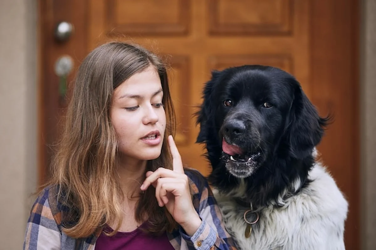 Nastolatka i pies górski siedzą przy drzwiach domu